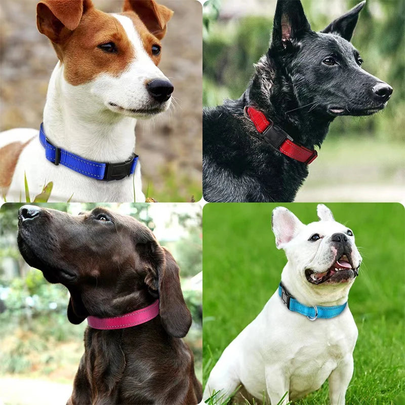 Reflective Dog Collar for Medium Large Dogs Soft Neoprene Padded Nylon Sturdy Adjustable Pets Collar for Medium Large Dogs